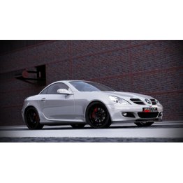 Накладка сплиттер на передний бампер на Mercedes SLK R171